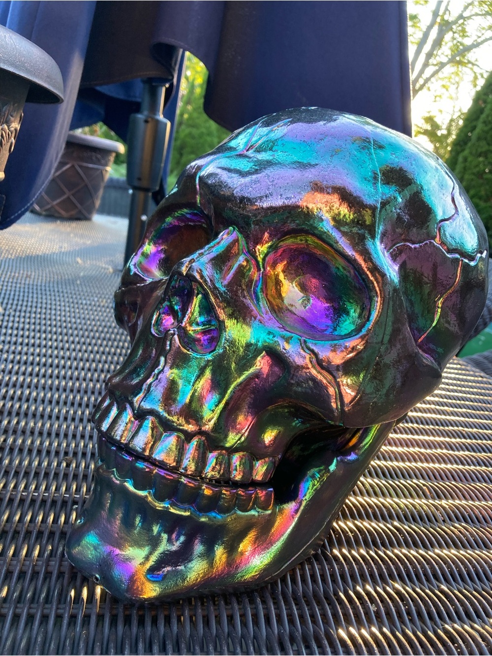 2025 Hyde & Eek large skull